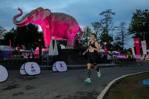 BIB: 
                            <button type="button" onclick="openModal(26529683)" class="btn btn-primary btn-sm float-right btn-popup" data-toggle="modal" data-target=".modal-high-quality">
                        <i class="fas fa-shopping-cart"></i> Add to Cart
                    </button>
                                            <button type="button" onclick="isThisMe(26529683, true)" class="btn btn-success btn-sm float-right btn-popup btn-isme hidden" data-toggle="tooltip" data-placement="bottom" title="นี่คือรูปของคุณใช่ไหม คลิกที่นี่เพื่อเอาเข้าอัลบั้ม">
                        <i class="fas fa-plus"></i> Add to album
                    </button>
                    <button type="button" onclick="isThisMe(26529683, false)" class="btn btn-warning btn-sm float-right btn-popup btn-isnotme hidden">
                        <i class="fas fa-ban"></i> Remove from album
                    </button>